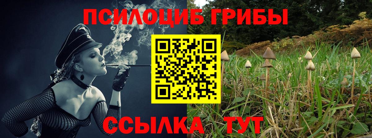 Галлюциногенные грибы прущие грибы Белая Калитва
