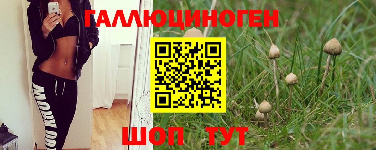 Псилоцибиновые грибы GOLDEN TEACHER  как найти закладки  Вход с VPN  Белая Калитва  Псилоцибиновые грибы мухоморы 